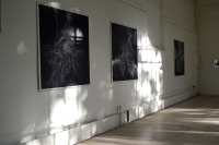 https://www.silene-audibert.com/files/gimgs/th-91_orangerie8.jpg